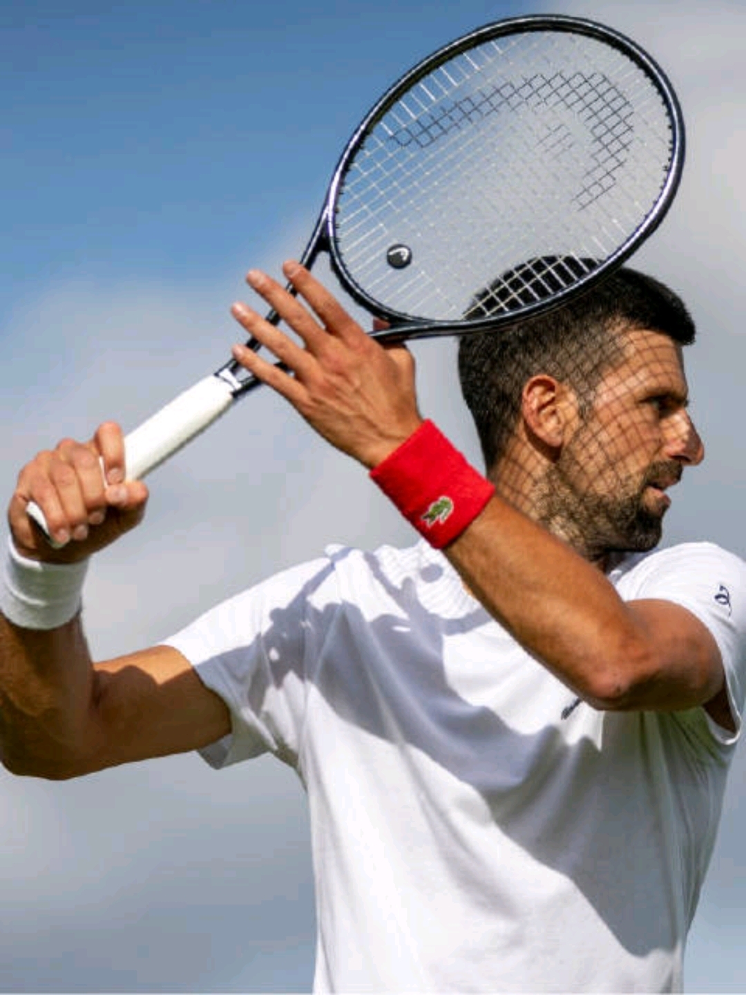 海星TV-关于德约科维奇与50激战DWG分钟，重要助攻胜负难料！，费德勒焦点对战观众掌声雷动的信息